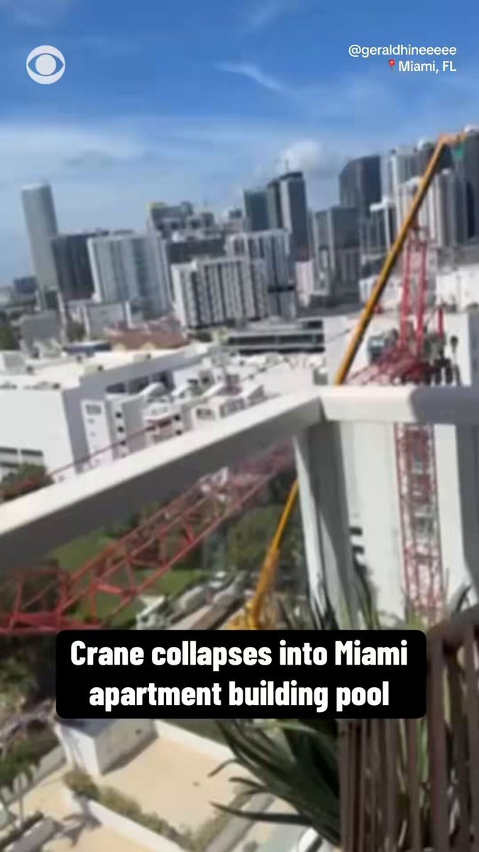 Une grue en construction à Miami s'est effondrée vendredi, s'écrasant dans une piscine voisine.