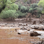Recherche urgente en cours pour plus de 20 personnes après la crue éclair du Grand Canyon