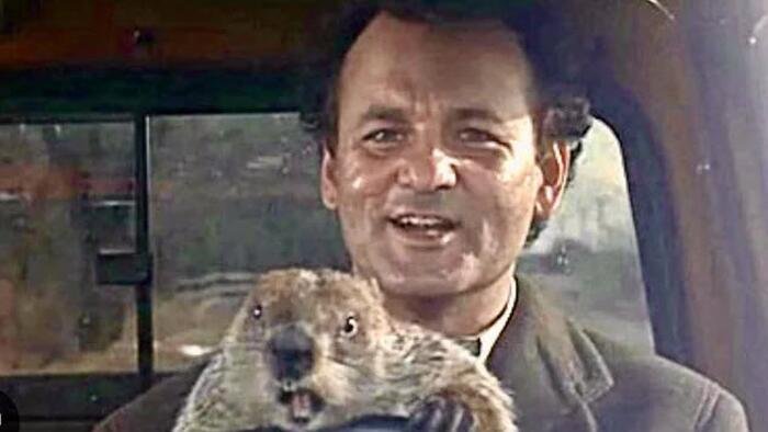 Jour de la marmotte