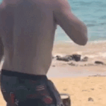 Le candidat à la Chambre démocrate d'Hawaï fait face à des accusations de menace criminelle après une bagarre sur la plage filmée
