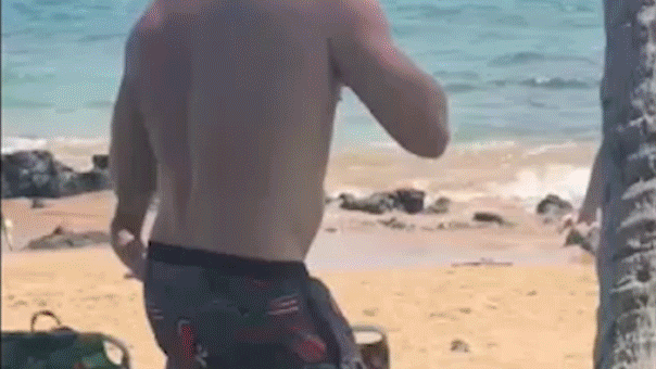 Le candidat à la Chambre démocrate d'Hawaï fait face à des accusations de menace criminelle après une bagarre sur la plage filmée