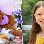 L'adolescent accusé du meurtre de sa cousine Lily Peters, 10 ans, pourrait éviter son procès en novembre après la nouvelle audience prévue