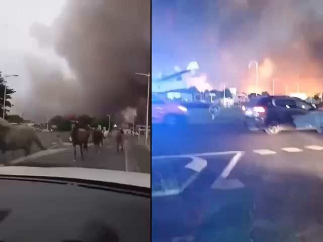 Les autorités françaises ont arrêté 420 personnes, dont 166 mineurs, accusées d'avoir déclenché…