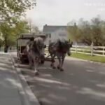 "Je déteste tellement Mackinac." Le candidat démocrate au Sénat du Michigan, Abdul El-Sayed, fait face à…