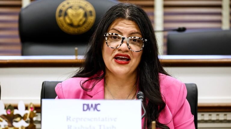 Tlaib critiqué pour avoir tenté de renverser deux démocrates juifs de Floride : « ce n’est pas une coïncidence »