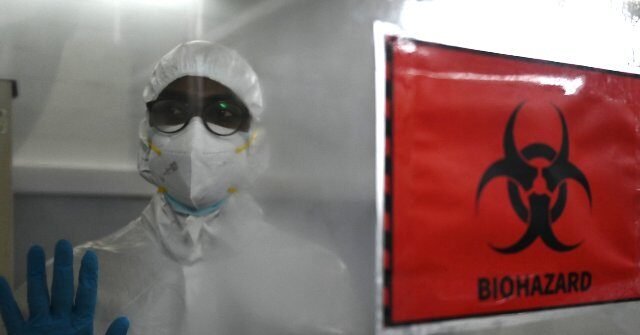 Alerte de biosécurité : des chercheurs de Stanford utilisent l'IA pour concevoir 16 virus