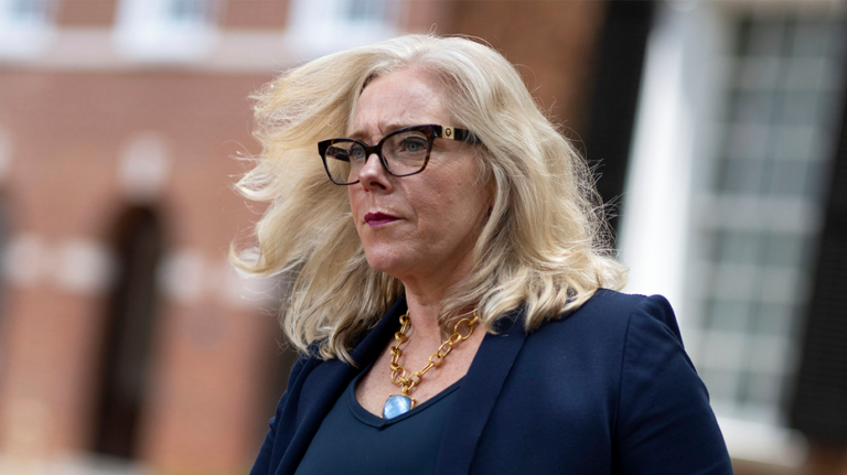 « Reine du DEI » : l'étreinte passée de Virginia Dem avec les procureurs d'extrême gauche découverte