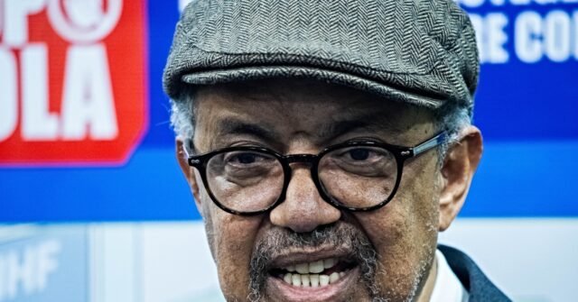 Rencontrez les candidats en lice pour succéder à Tedros à la tête de l'OMS.