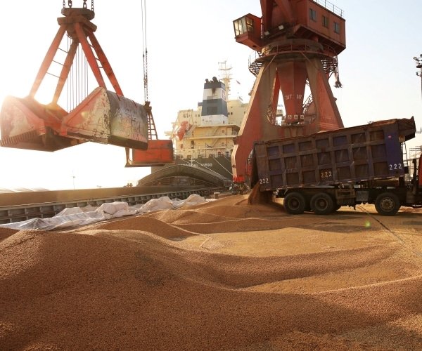 Rapport : la Chine achète 800 000 tonnes de soja américain
