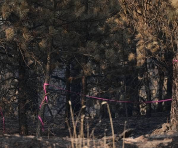 Détective : un suspect d'incendie criminel a planifié l'incendie de forêt de Spokane