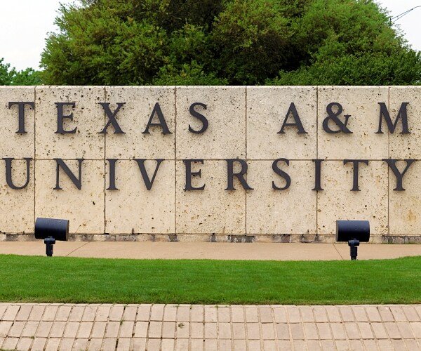 Des professeurs de Texas A&M poursuivent les limites de la race et de l'enseignement sur le genre