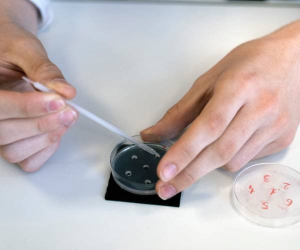 Le laboratoire de Stanford utilise l'IA pour créer des virus tueurs de bactéries