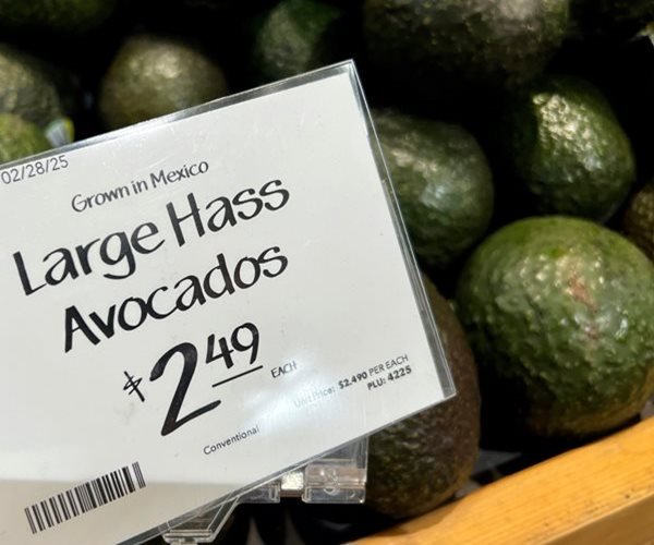 Le groupe mexicain Avocado conclut un accord sur les exportations américaines