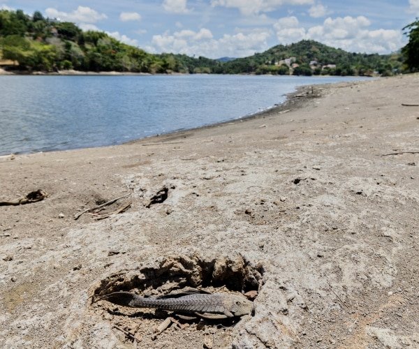 Porto Rico rationne l’eau dans un contexte de grave sécheresse