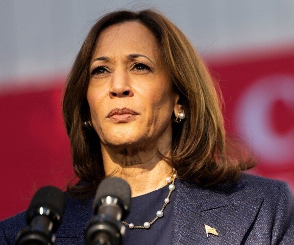 Harris Divide met en lumière la lutte identitaire des démocrates