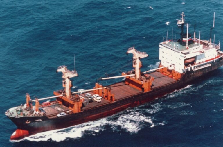 Navire de commerce en mer