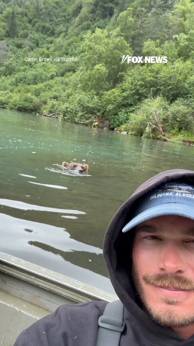 Une mère grizzli se dirige vers un bateau de pêche en Alaska, aperçoit un saumon dans l'eau et l'arrache à…