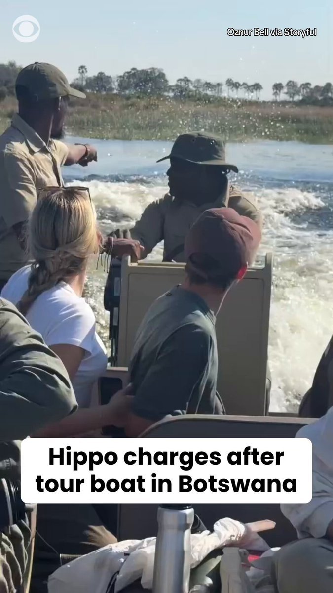 Les touristes du Botswana ont eu une surprise terrifiante lorsqu’un hippopotame est apparu à la poursuite…