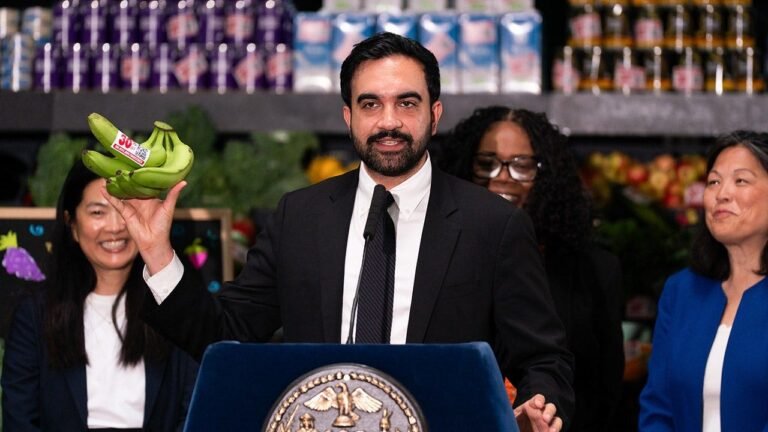 Les contribuables de New York pourraient payer deux fois dans le cadre du plan d’épicerie appartenant à la ville de Mamdani