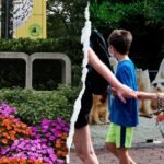 Égalité des sexes, DEI, action climatique : comment la poussée éveillée du Smithsonian a « infiltré » le zoo le plus apprécié des États-Unis