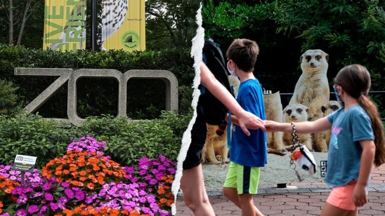 Égalité des sexes, DEI, action climatique : comment la poussée éveillée du Smithsonian a « infiltré » le zoo le plus apprécié des États-Unis