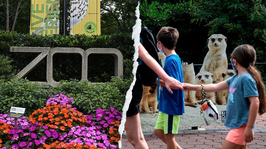 Égalité des sexes, DEI, action climatique : comment la poussée éveillée du Smithsonian a « infiltré » le zoo le plus apprécié des États-Unis