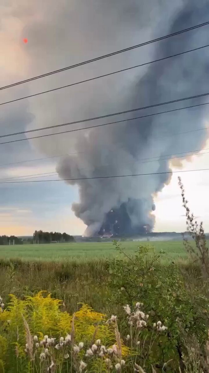 Depuis la mi-juillet, les forces ukrainiennes chargées des systèmes sans pilote ont frappé au moins 20…