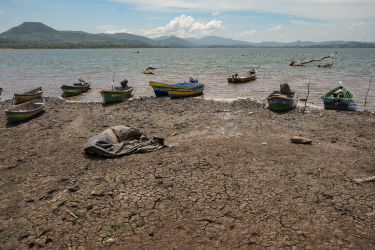 « Zone de danger due aux conditions météorologiques extrêmes » : l'ONU met en garde contre un phénomène El Niño de grande ampleur susceptible de frapper l'économie et les marchés mondiaux