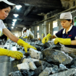Les fournisseurs chinois de terres rares arrêtent leurs expéditions américaines alors que les craintes de découplage augmentent