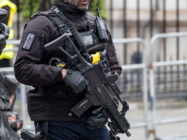 Armed Metropolitan Police In London