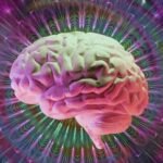 Des milliardaires achètent des sociétés psychédéliques