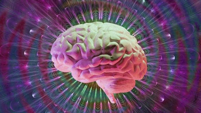 Des milliardaires achètent des sociétés psychédéliques