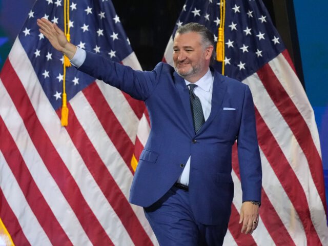 Ted-You-Suck_-640x480