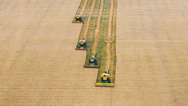Ce secteur est un terrain fertile pour les opportunités d’achat