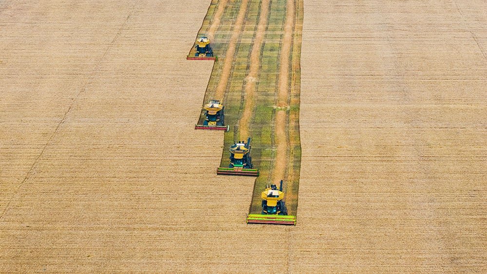 Ce secteur est un terrain fertile pour les opportunités d’achat