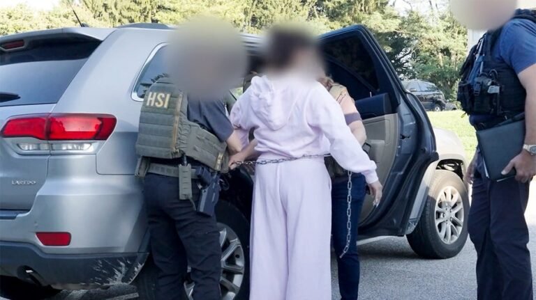 REGARDER : Un étranger clandestin arrêté dans un État du champ de bataille après avoir prétendument commis une fraude électorale