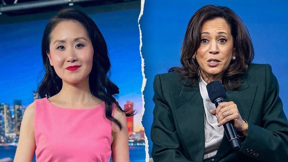 Un ancien initié de Dem expose ce que Harris a dit aux principaux donateurs quelques jours avant que Biden n'abandonne : « Insultant »