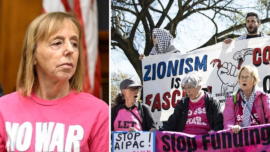 Comment la fondation familiale de Medea Benjamin, co-fondatrice de CodePink, est devenue un important bailleur de fonds de groupes d'activistes de gauche