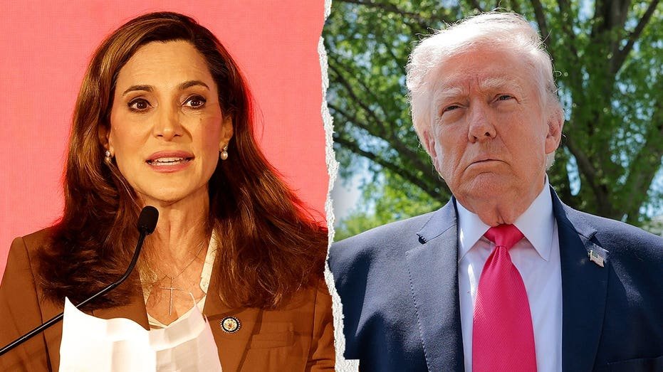 « Allé trop loin : » le candidat républicain se présente à la gauche de Trump sur la question de la signature dans le district rouge profond