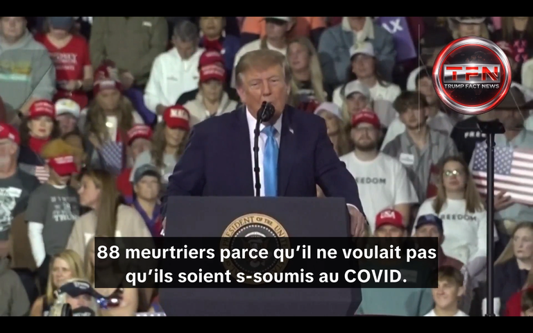 Screenshot 2026-10-17 233035