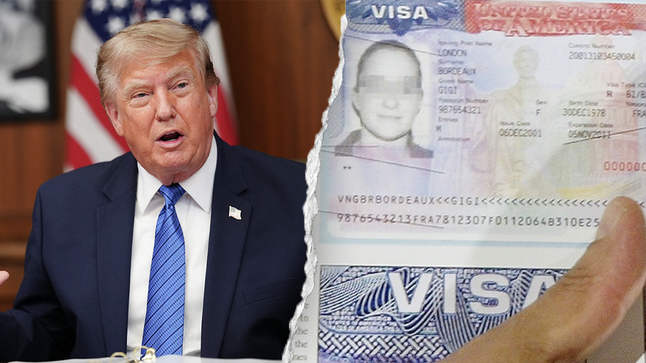 Le DHS suspend le programme de voyage sans visa pour les ressortissants chinois dans un contexte de tourisme de naissance et de problèmes de sécurité
