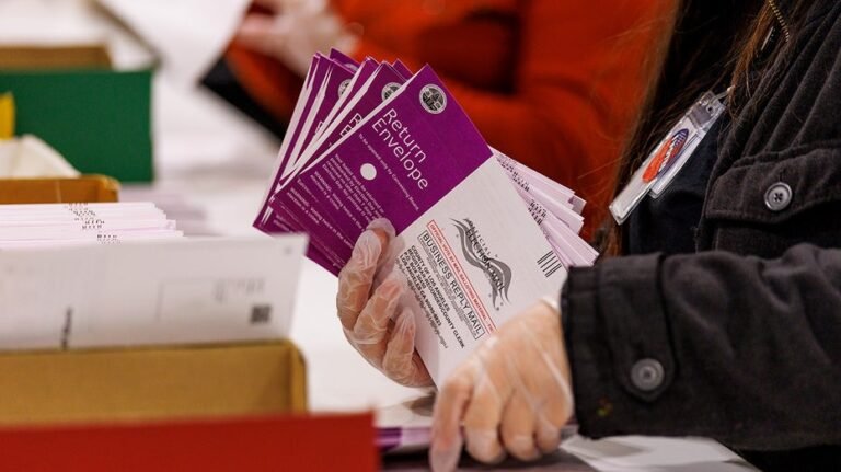Un expert électoral sonne l'alarme sur la façon dont les non-citoyens atterrissent sur les listes électorales
