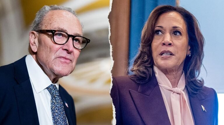 REGARDER : Les sénateurs démocrates esquivent Kamala Harris dans la course potentielle de 2028 : « Très désordonné »