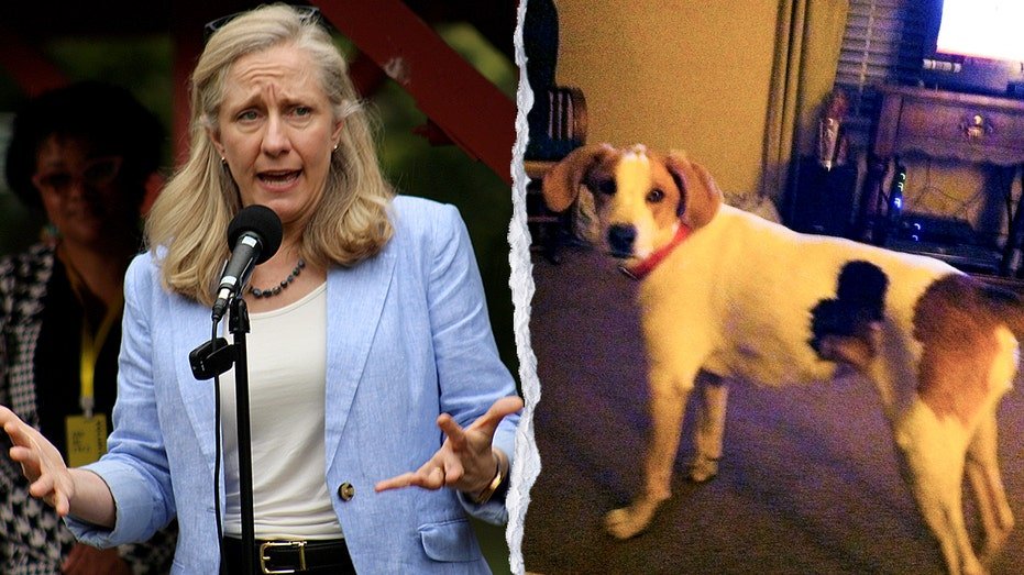 "Biscuit", le chien est le dernier criminel mort à récupérer son droit de vote auprès de Spanberger, selon son propriétaire confus